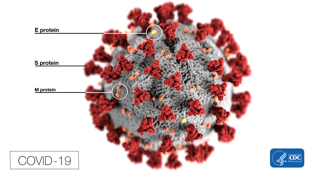 Le SRAS-COV-2 de la famille des coronavirus