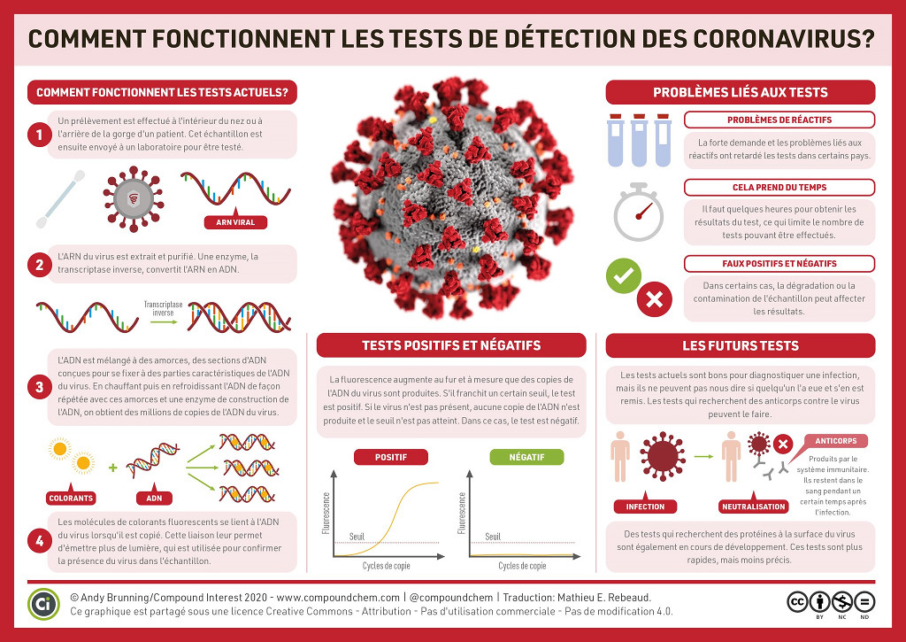Comment fonctionnent les tests de détection des coronavirus ?