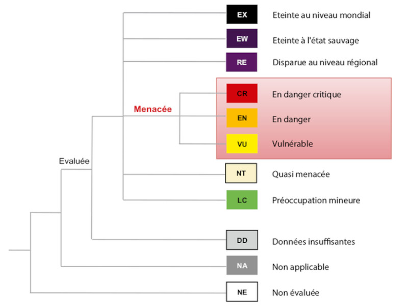 Figure n°5